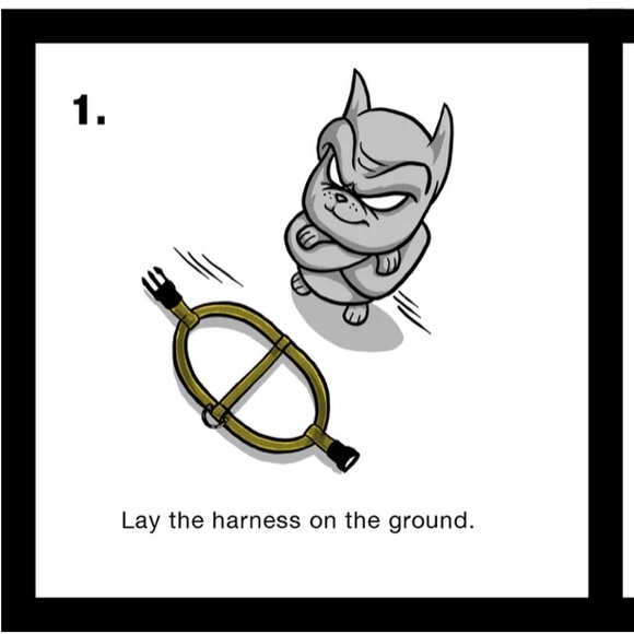 Step in adjustable harness up to 18 inch NWOT - Picture 5 of 11